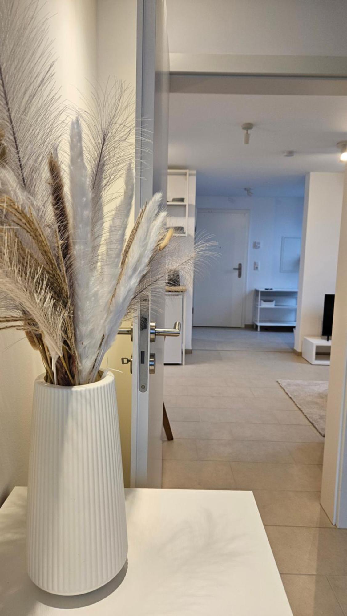 Ferienwohnung As5 Two Bamberg - Zentrale Lage Mit Parkplatz Hallstadt Exterior foto